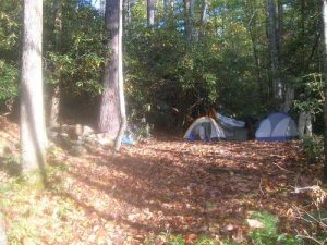 <b>Our Campsite</b><br> One of many campsites along Harper's Creek. We had no less than 30 people walk buy during our stay in October. Guess it's a popular area.