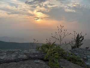 <b>Sunset with Plants</b><br> Taken off of an overlook at Shenandoah's Skyline Drive.