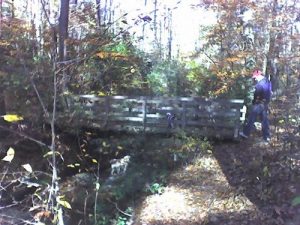 <b>The North Trail</b><br> Crossing a bridge onto the North Trail which runs across the northern section of the park.
