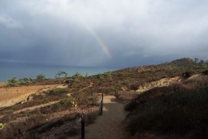 Torrey Pines State Reserve