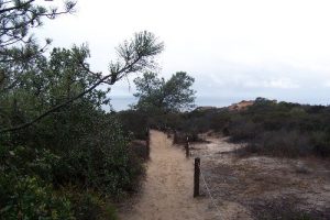 <b>Trailhead</b><br> This a shot of the trailhead for both the Razor Point and Beach Trails.