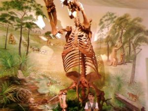<b>Giant Sloth</b><br> at the Interpretive Center, there's also a swimming pool at the Center