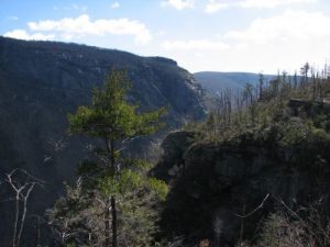 <b>Linville Gorge, NC</b><br> The view