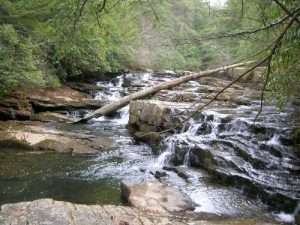 <b>Stream Before The Falls</b><br> This is the stream that eventually dumps across Savage Falls.