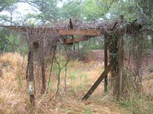 <b>The Trailhead</b><br> The badly damaged trailhead sign which we suspect was another victim of Hurricane Katrina.