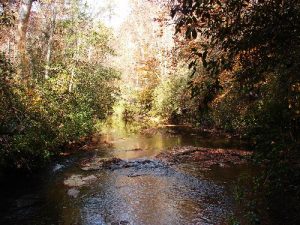 Broad River Trail - November 11, 2007