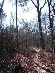 Keown Falls/Johns Mountain - January 27, 2008