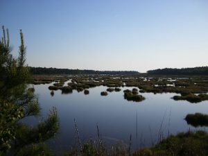 Bear Island WMA