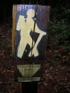 <b>The Palmetto Loop Trail</b><br> One of a few trail signs marking the Palmetto Loop Trail.