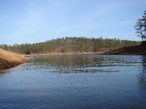 Homestead Trail