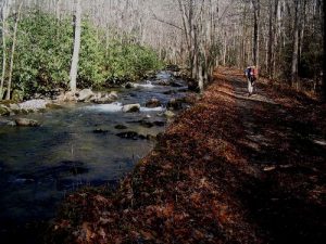 <b>Bradley Fork</b><br> Hiking along the Bradley Fork Trail - one of two blue blazes that took Goodrich and McKinney off the official route and cut 11 miles of the weekend hike which earned them mass ridicule from the group.