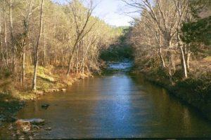 jacks river, at Conasuaga intersection!! from jacks river bridge