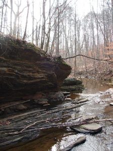 Johnson Ferry Trail