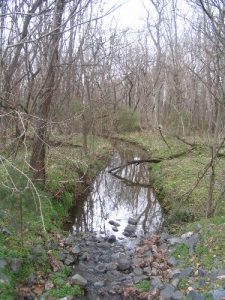 <b>Small Stream</b><br> A stream that feeds into McMullen Creek.