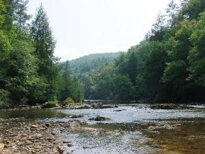 Chattooga River Trail