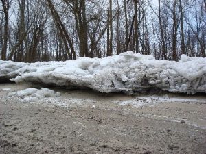 <b>Ice Blocks</b><br> Picture of some of the many ice blocks that had formed on an adjacent beach that isn't technically a part of the preserve.