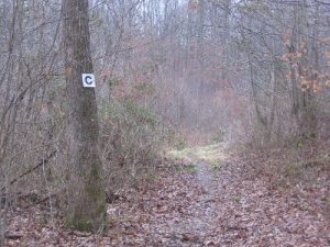 <b>Trail connector C</b><br> Canal Loop trail at Land Between the Lakes