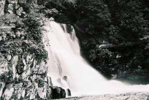 <b>Abrams Falls</b>