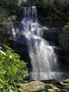 Falls Branch Falls Trail