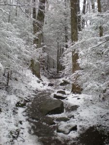 <b>The Trail, covered in snow</b>