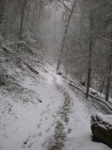 <b>Another shot of the trail...</b>