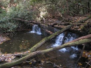 <b>Tumbling Creek before reaching the falls</b>