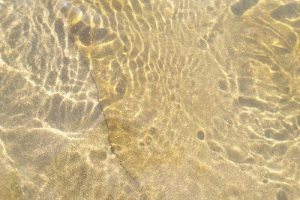 <b>Gila River</b><br> Crystal clear. You may notice some shiny flakes in the water. Gold. I panned a good bit.