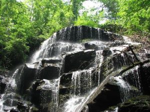 Yellow Branch Falls