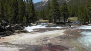 Yosemite - Lyell Canyon