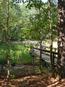 Laurel Ridge Trail @ Buford Dam