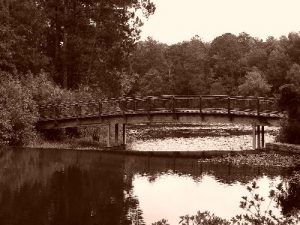 <b>Bridge over Mirror Lake</b>