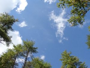 <b>Yeah, I know, you're jealous</b><br> The amazing Tn sky, above the upper falls