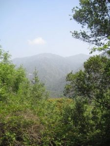 Upper Winter Creek Trail - Angeles Mts.