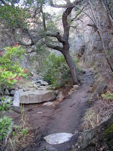 <b>La Jolla Canyon trail</b>