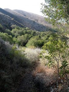 <b>Mugu Peak Trail</b><br> On the backside of Mugu Peak, where the trail meets the La Jolla Valley Loop Trail.