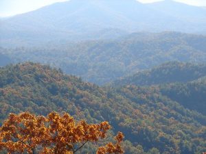 Grassy Mtn Tower