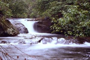 <b>Overflow Creek</b><br> Overflow Creek comes in from the North.