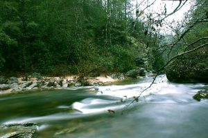 <b>West Fork Valley</b><br> The final product of all three creeks coming together to make the West Fork of the Chatooga River