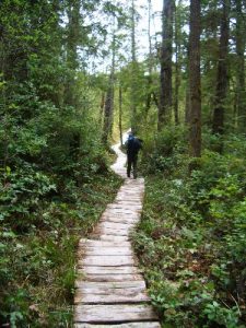 Ozette Cape Alava Loop