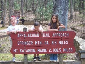 Amicalola Falls/Creek Trail/West Ridge