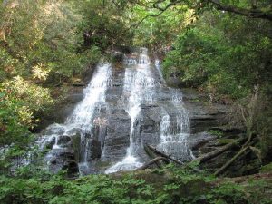 Bee Cove Falls