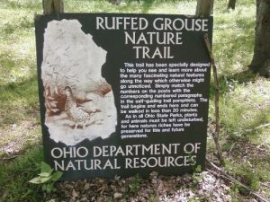 <b>Ruffed Grouse Nature Trail</b><br> This trail is in some serious need of volunteer assistance or funding from the state. Following it was no easy task.