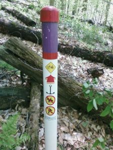 <b>Trail Marker</b><br> A backcountry trail marker that I stumbled on to after losing the Ruffed Grouse Trail.