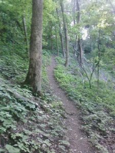 <b>The Trail Near The Ridgeline</b>