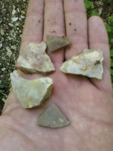 <b>Flint From The Trail</b><br> Some of the flint I found (and left behind) along the Creek Trail.