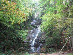 Reedy Branch Falls