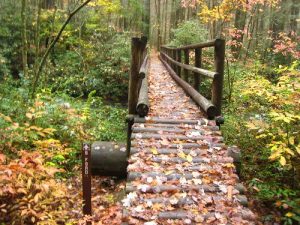 <b>Trail bridge</b>