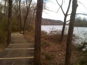 <b>The Boardwalk And River</b><br> This is the River Boardwalk Trail as it follows the river upstream.