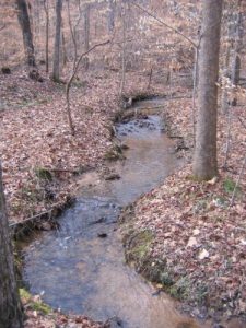 <b>Creek along the trail</b><br> Winding creek along the trail. I was surprised how crooked it was.