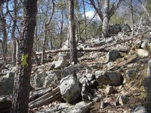<b>Dutchman's Creek Trail</b><br> One of the more strenuous climbs on the Dutchman Creek Trail.